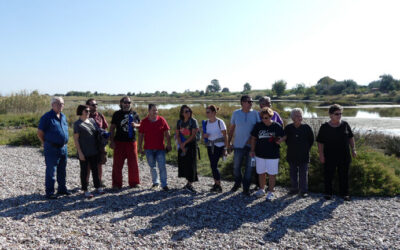 Aliki eco project – act I & II